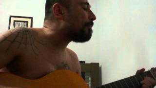 RAUL SEIXAS - A BEIRA DO PANTANAL ( por aurelio pedro)