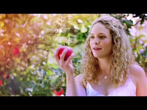 "Sturm der Liebe"-Trailer: Vorspann zur 16. Staffel | Sturm der Liebe