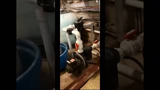 Pro Tips for Pool Room Pest Control