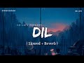 Dil - Lofi (Slowed + Reverb) | Raghav Chaitanya | Storm Edition | SR Lofi
