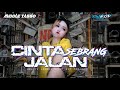 DJ TJAP TASSO KUPANDANG PANDANG ADEK DARI SEBERANG FT SELVIA ANGGRAINI