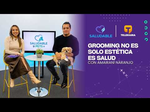 Grooming no es solo estética es salud