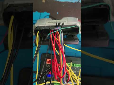 Ecu Bosch M7.9.7 full prueba! Banco de prueba Tinaquillo Cojedes!! #viral #diagnostico