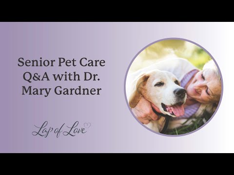 Senior Pet Care Q&A with Dr. Mary Gardner