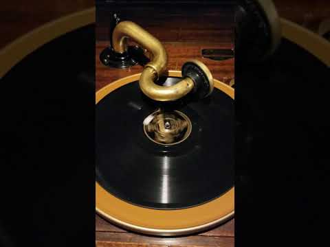 "My Bluebird Was Caught In The Rain" Ipana Troubadours (Sam Lanin)