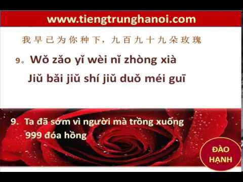 Học tiếng Trung - bài hát 999 đóa hồng - 999 朵玫瑰 bản cực đẹp vietsub- hay _ ĐÀO HẠNH