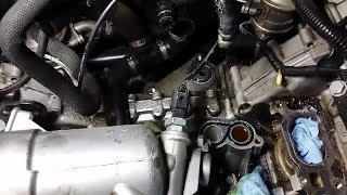 Audi 4 2L V8 Oil Leak Front and Back of Engine - Oil Filter Housing O-Ring Seals
