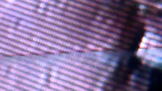 Ghetto Ghouls // my hands