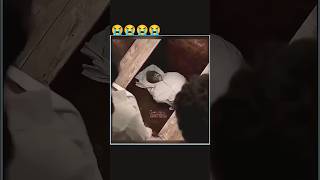 Download lagu Kabar Ka Ajab😱 Mudda ke sang Kis Tarah Jinda aadami Dafan Hota Hai shorts viral #video mp3