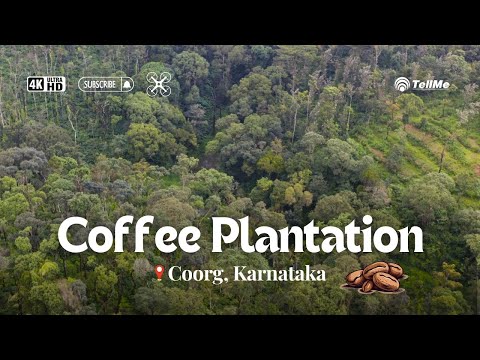 Discover the Journey: Inside a Coffee Plantation in Coorg | Karnataka