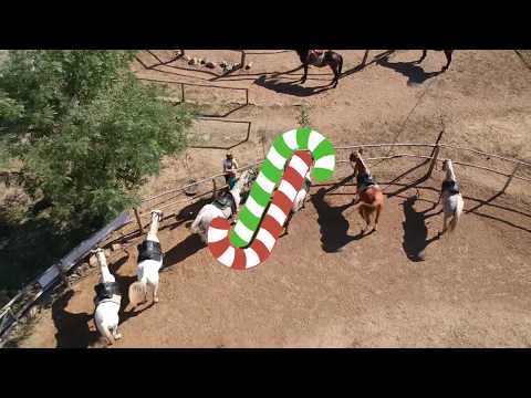 Herghelia Cerna-Tulcea