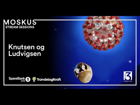 Moskus Familie-Sessions - Knutsen og Ludvigsen