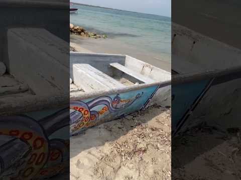 Mis pensamientos cada que voy a la playa #viajando #rincondelmar #sanonofre #sucre #colombia