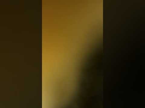 comment what she want or what she's trying to do 😅 cat - kitties 😻 funny - cute pet animal