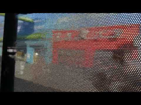 RECORRIDO D9 PASO CARRASCO (CANELONES) 🚞✨️