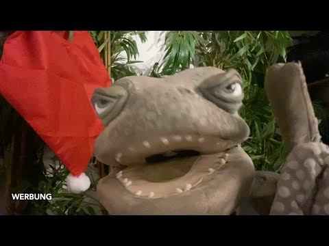 Christmas idea from the lizard