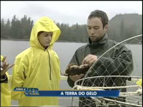 Imagem de Amostra do You Tube