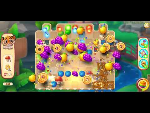 Family Zoo Level 441