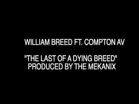 Av LMKR "LAST OF A DYING BREED"
