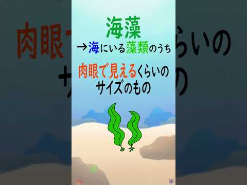 褐藻類について詳しく解説