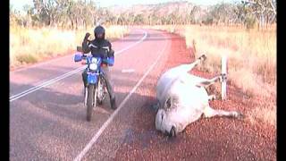 preview picture of video 'Bad2Bone - Australien mit dem Motorrad - Dino Wolter - balkan09'