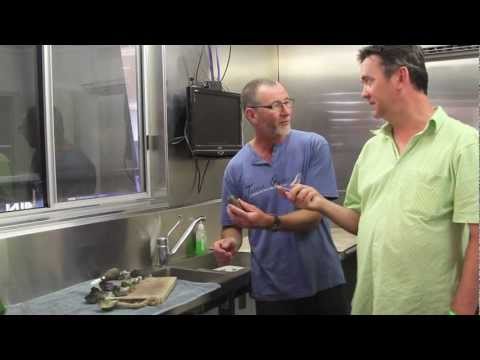 Tathra Oysters