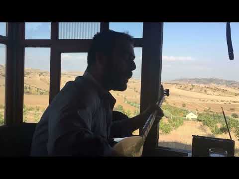 Hulusi Gökmeşe - Bağışla Sevdiğim (Neşet Ertaş)