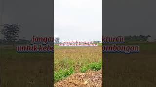 Download lagu #hiduphanyasekali mp3