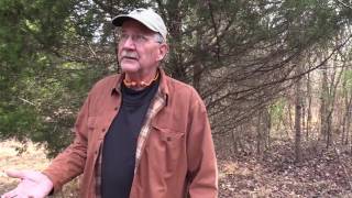 Deep Woods Thought  # 20