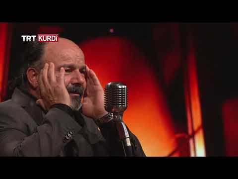 M. Metin Barlık | Saliho