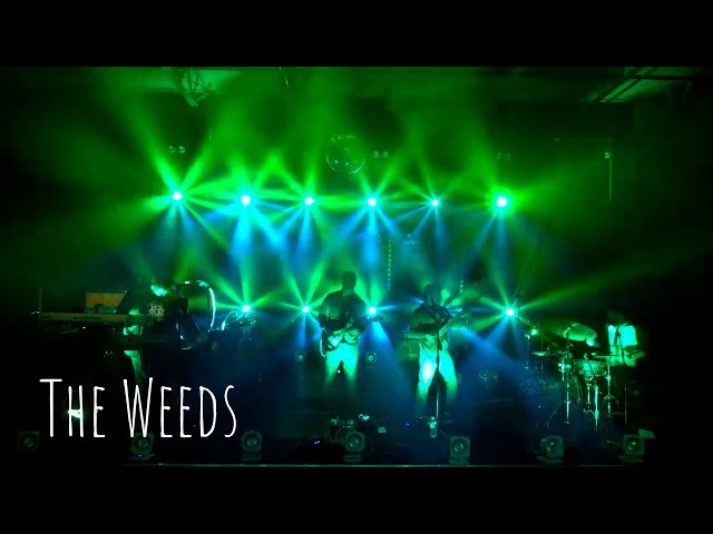 The Weeds Video