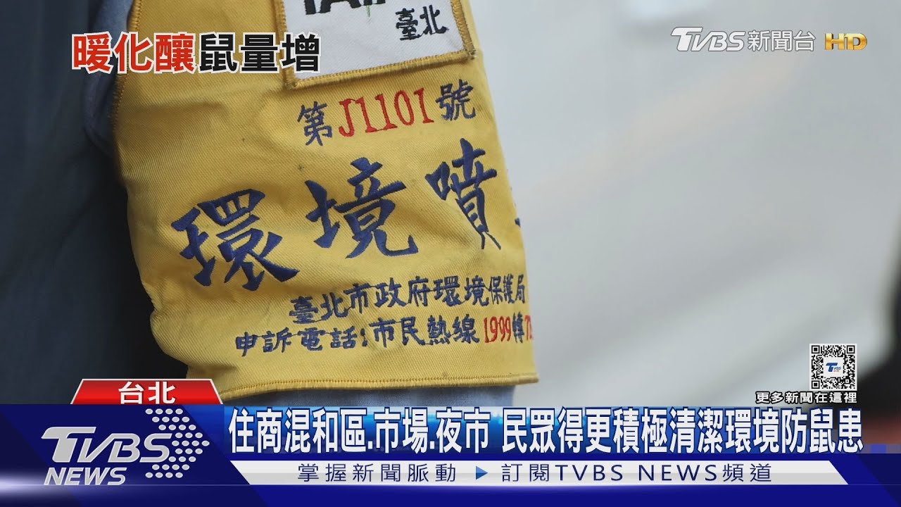 人類與老鼠的戰爭! 全球暖化致舊金山、紐約市等城市鼠患增加