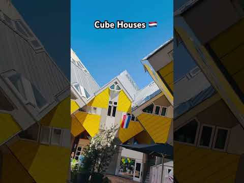 Tilted, twisted, and totally cool! 😎