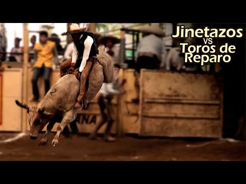 Bull Riding Compilation 01 - Addicted to Danger - The Best Female Riders and the Best Bulls