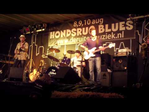 Fat Harry & the Fuzzy Licks