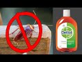 Natural Trick To Get Rid Of Bed Bugs Fast And Permanently In Your House Kitchen Cabinet LoPeet