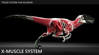 X-Muscle System video thumbnail