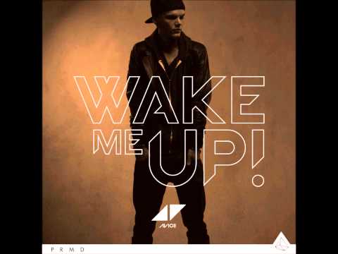 Avicii vs SHM vs Sandro Silva - Don't Wake Puna Up (Mashup)