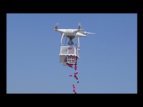 How to make pentam for drone flower box ? 