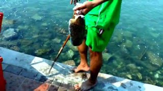 Рыбалка с берега паттайя