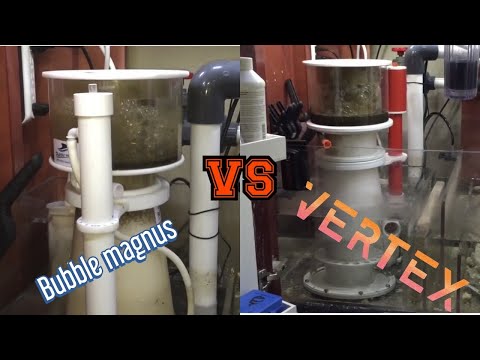 Bubble Magus Versus Vertex