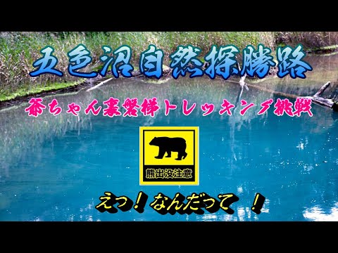 五色沼自然探勝路 おじいちゃんのトレッキング