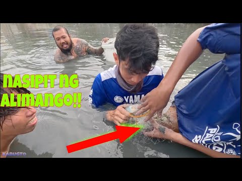 Panlalambat with Kalapatids | New spot - P2