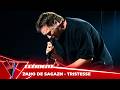 Zaho de Sagazan - 'Tristesse' ● Clément | Cross Battles | The Voice Belgique Saison 12
