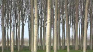 death in june - a nausea