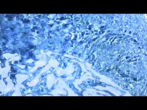 Video thumbnail for Fiume (Perdersi nelle ambizioni)