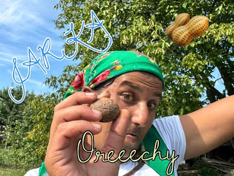 JARKA - Orechy (OFFICIALVideo)