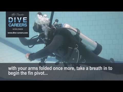 SKILL CIRCUIT FIN PIVOT LPI INFLATION