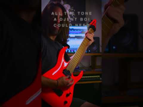 STL Tones' Amp Hub DJENTS