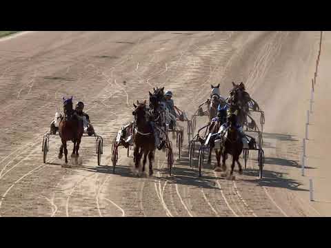 2020.08.22. 06. futam - G. DÉNES GYÖRGY "ZSÜTI" ÉS GÉM ZOLTÁN EMLÉKVERSENY HENDIKEP